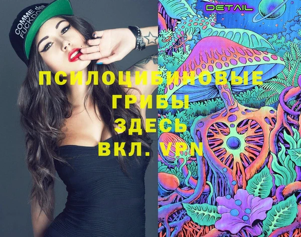 мяу мяу мука Осташков