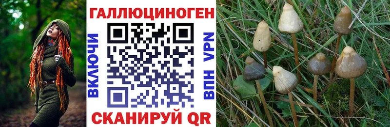 Галлюциногенные грибы Magic Shrooms  Купить где  Курчалой 